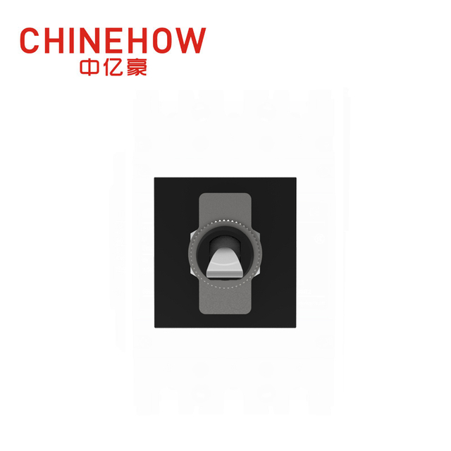 CVP-SM Hudraulic 자기 회로 차단기 Paddle Actuator with Tab(QC250) 2P Black